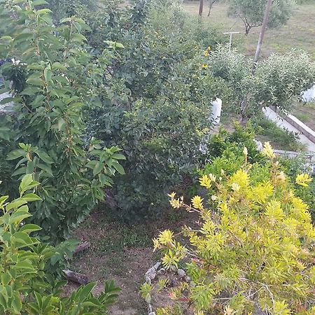 Matusanka Apartment Banjol Dış mekan fotoğraf
